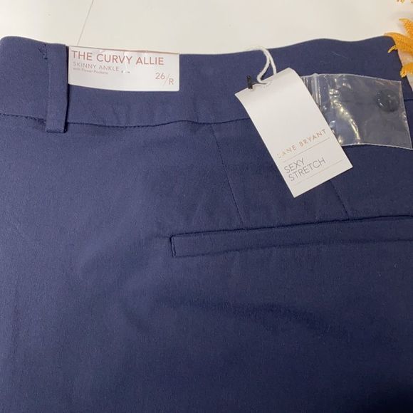 Lane Bryant Curvy Allie Skinny Ankle Stretch Pants 26 Navy NWT - Picture 5 of 8